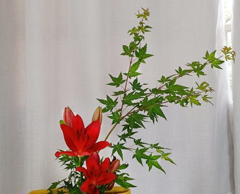 premiação di moa 2025 (63)