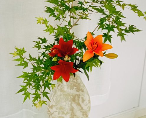 premiação di moa 2025 (9)