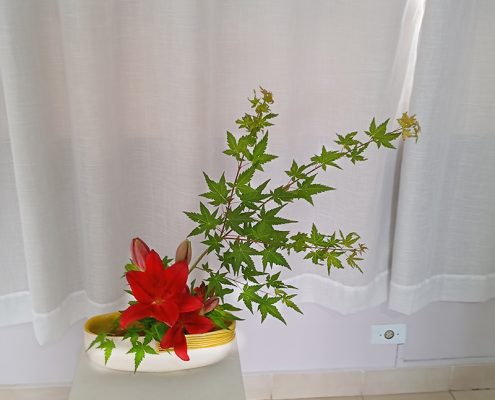 premiação di moa 2025 (92)