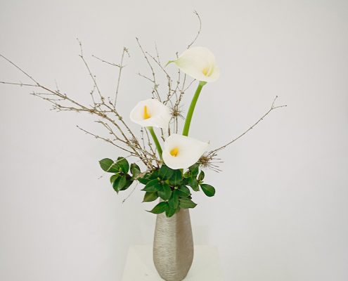 premiação di moa 2025 (95)